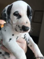 IMG_20250203_162039_web