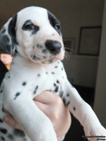 IMG_20250203_162037_web