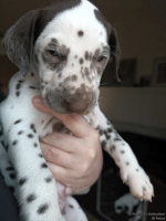 IMG_20250203_162111_web