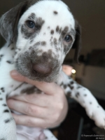 IMG_20250203_162121_web