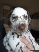 IMG_20250203_162217_web