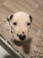 IMG_20250205_080101_web