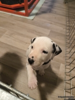 IMG_20250205_080030_web