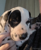 IMG_20250206_105410_web