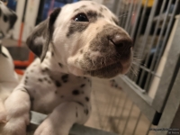 IMG_20250206_175149_web