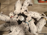 IMG_20250206_181351_web