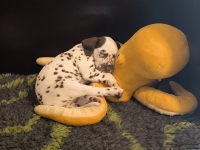 IMG_20250208_105707_web