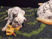 IMG_20250208_105717_web