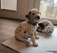 IMG_20250208_105824_web