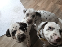 IMG_20250208_105826_web