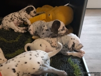 IMG_20250208_110416_web