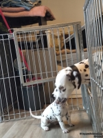 IMG_20250208_110841_web