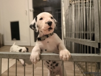 IMG_20250208_212139_web