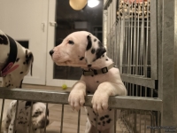 IMG_20250208_212148_web