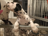 IMG_20250208_212310_web