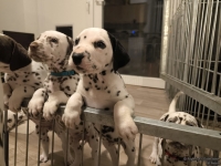 IMG_20250208_212318_web