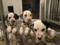 IMG_20250208_212325_web