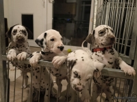 IMG_20250208_212434_web