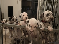 IMG_20250208_212435_web