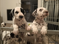 IMG_20250208_212439_web