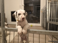 IMG_20250208_213055_web