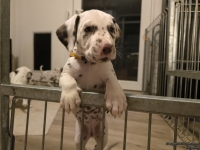 IMG_20250208_213056_web