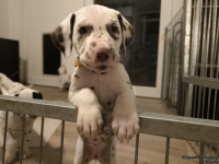 IMG_20250208_213058_web