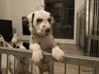 IMG_20250208_213059_web