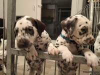 IMG_20250208_213441_web