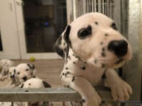 IMG_20250208_213701_web