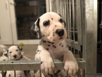 IMG_20250208_213703_web