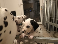 IMG_20250208_213739_web