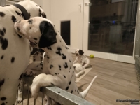 IMG_20250208_213752_web