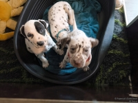 IMG_20250211_131046_web