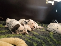 IMG_20250211_131119_web