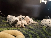 IMG_20250211_131120_web