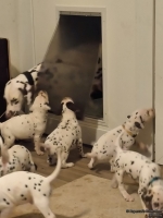 IMG_20250208_220503_web