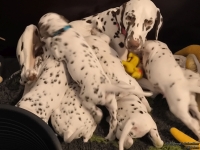 IMG_20250209_082156_web