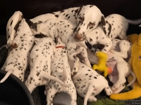 IMG_20250209_082244_web