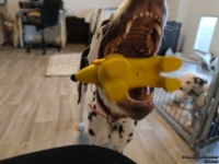 IMG_20250209_084038_web