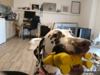 IMG_20250209_084045_web