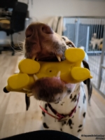 IMG_20250209_085109_web