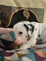 IMG_20250209_124108_1_web