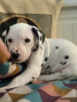 IMG_20250209_124109_web