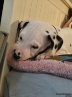 IMG_20250209_124119_web