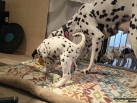 IMG_20250210_084132_web