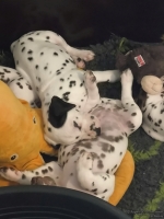 IMG_20250210_122610_web