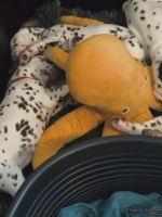 IMG_20250210_122634_web