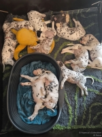 IMG_20250210_122711_web