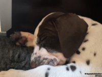 IMG_20250210_164103_web